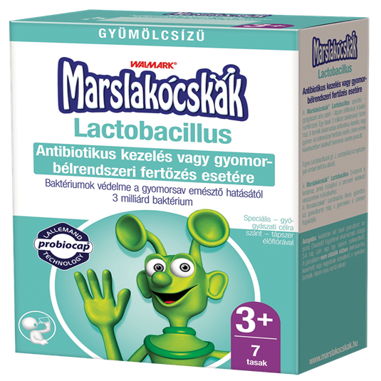 Marslakócskák Lactobacillus